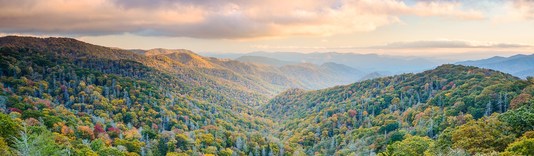image of the Smoky Mountains